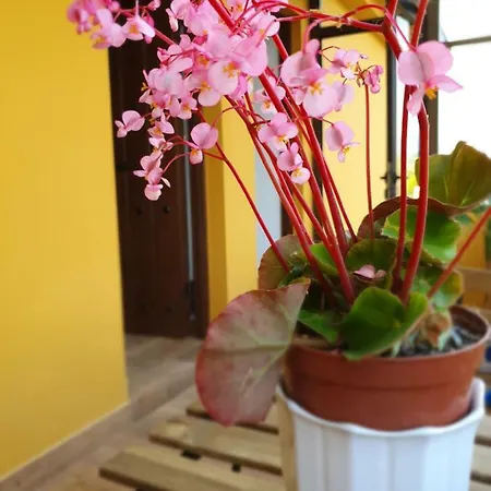 Vados - La Colina Apartman *