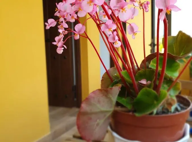 Vados - La Colina Apartment *